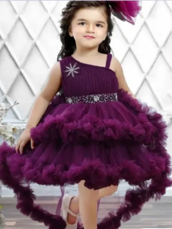 Princess Elegant Girls Frocks & Dresses