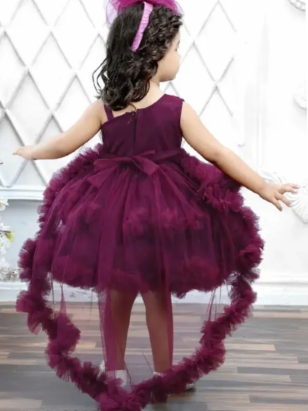 Princess Elegant Girls Frocks & Dresses