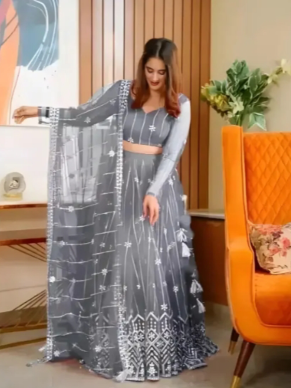 Classic Yet Trendy Net Embroidery Lehenga