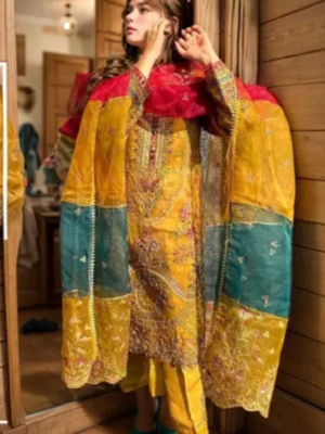 Pakistani SuitsT op Fabric: Georgette +