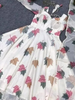 rishya Stylish Women GownsF abric: