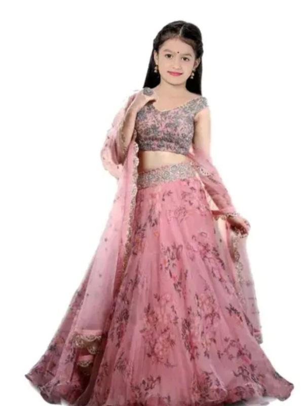 Girls Lehenga Cholis Pack Of 1Top