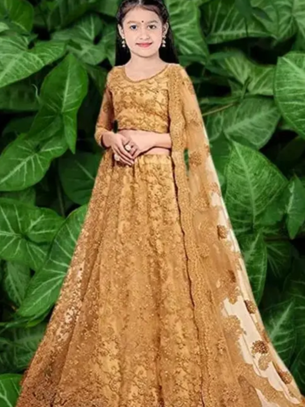 Girls Lehenga Choli Ethnic Wear