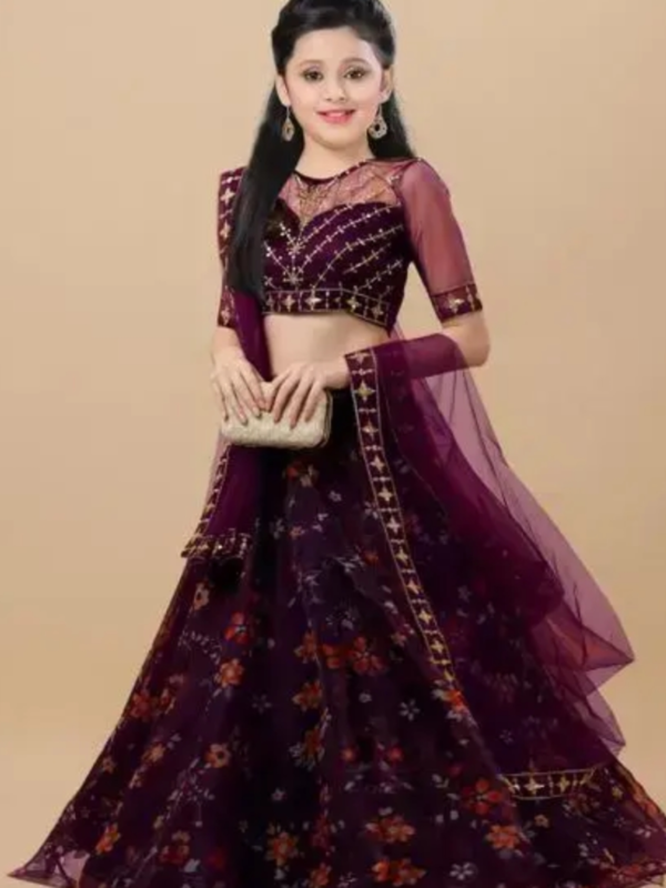 Girl’s Net Semi-Stitched Lehenga Choli
