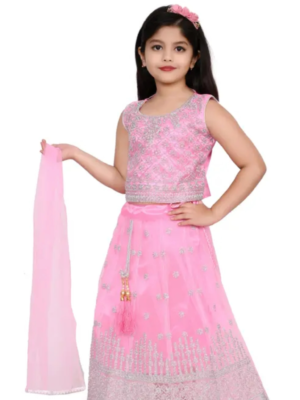 Girls Embroidered stitched Lehenga