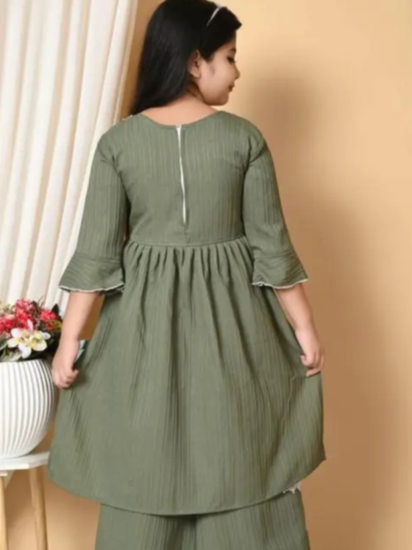 New Trendy Stylish Top Plazoo SetTop