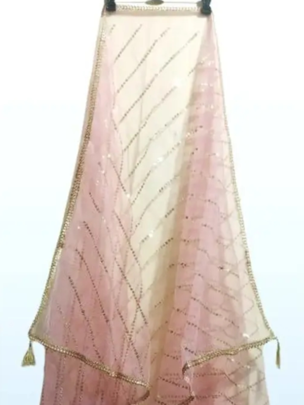 Net golden sitara four side laharia lace