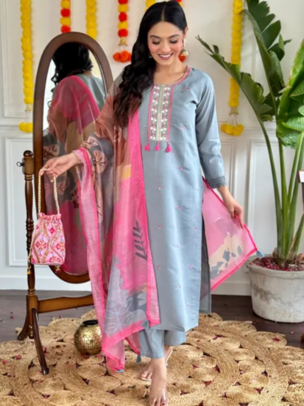 Womens Embroidery Viscose Chanderi