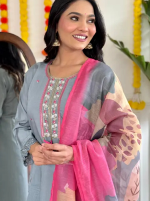 Womens Embroidery Viscose Chanderi