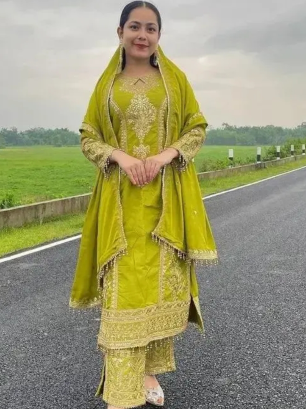 Embroidered Heavy Chinon Silk kurti with