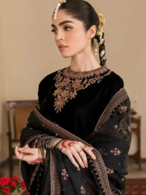 pakistani suitTop Fabric:GeorgetteLining