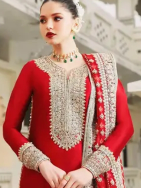 Festival,Wedding,Partywear ,salwar suit