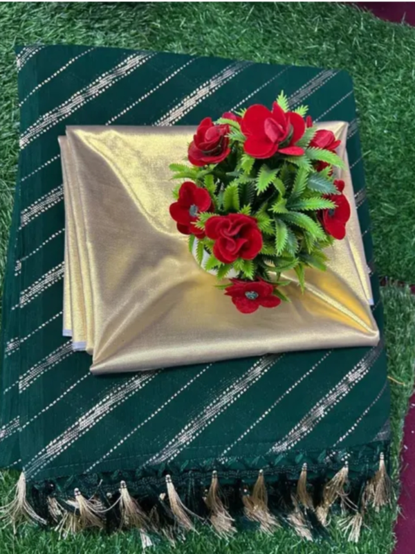 Trendyboolywoodstylesarees