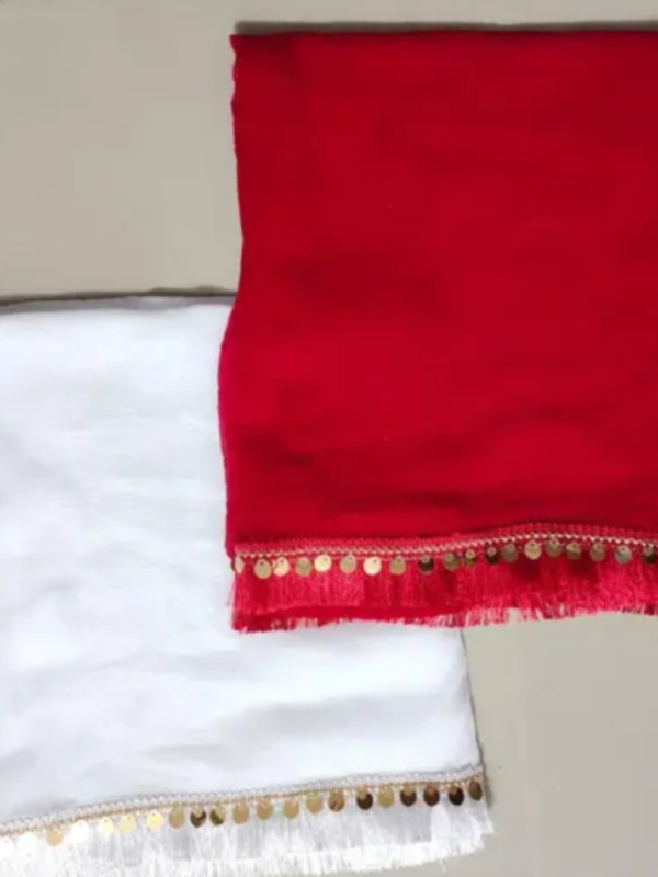 Stylish Combo of 2 Fancy Lace Nazneen