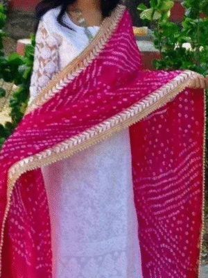 Elephant attractive dupattas