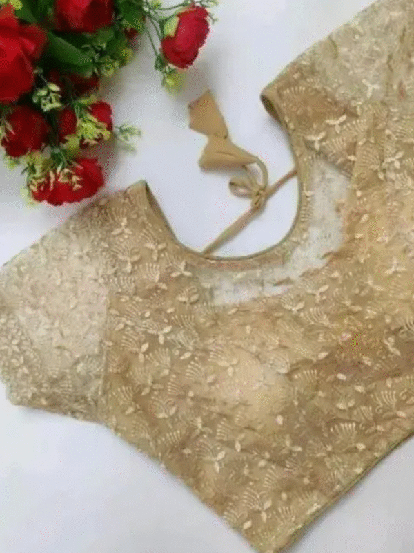 Beautiful blouse