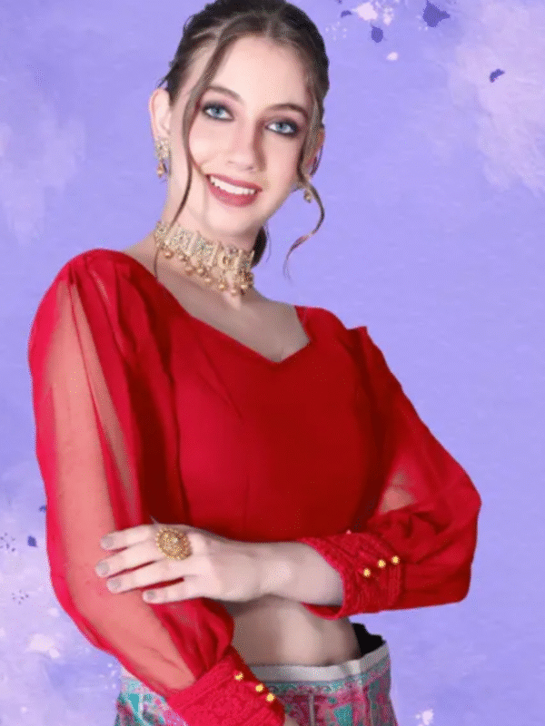 Readymade alterable georgette with sifflt blouse